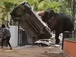 Terrifying moment elephant goes on rampage as it gores lorry driver to death and trashes cars in Indian temple attack