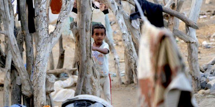 UN Agencies Warn of Worsening Food Insecurity and Rising Malnutrition in Yemen