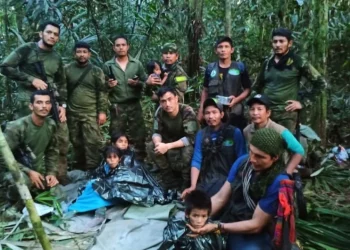 Four Children Rescued Alive After Plane Crash in Colombian Jungle