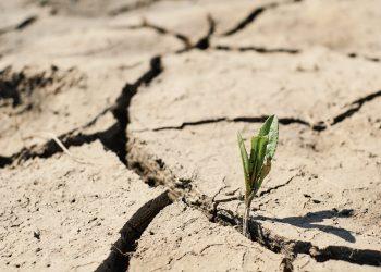 El Niño Begins in Pacific Ocean, Adding to Climate Change Concerns