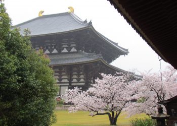 Canadian Teenager Questioned by Police in Japan for Carving Name on 8th Century Temple