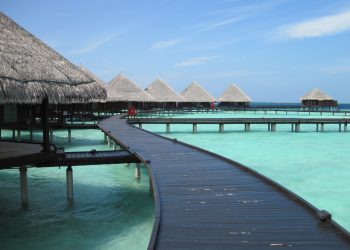 Ukrainian Parliament Member Faces Investigation for Maldives Vacation Amid Travel Restrictions