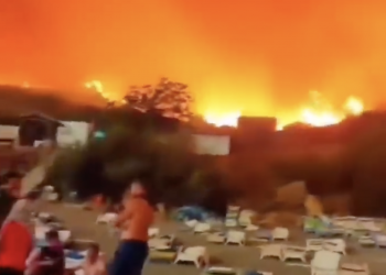 Wildfires Claim Lives in Algeria Amidst Heatwave and Climate Change Concerns