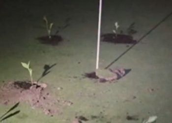 Climate Activists Fill Golf Course Holes in Spain Protest Against Water Waste