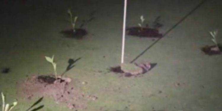 Climate Activists Fill Golf Course Holes in Spain Protest Against Water Waste
