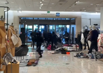 Armed Group Loots Luxury Goods Worth 0,000 from Los Angeles Mall