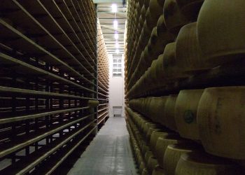 Italian Man Crushed Under Thousands of Cheese Wheels