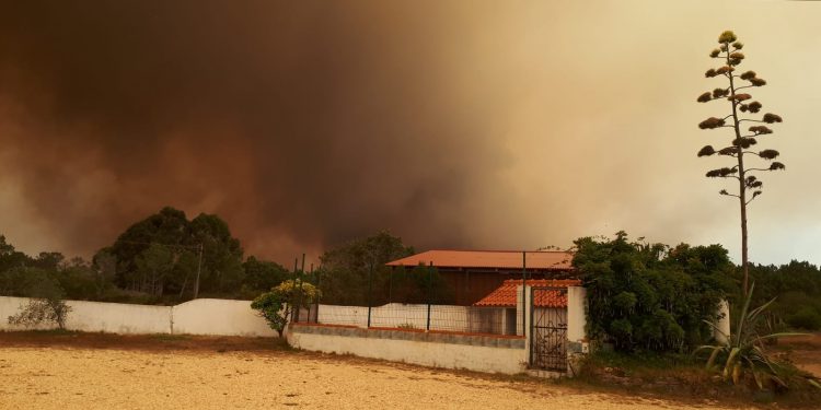 Wildfires Ravage Portugal as Firefighters Battle Blazes Amid Sweltering Heatwave