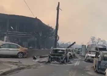 Wildfires Ravage Maui, Claiming Lives and Devastating Historic Town