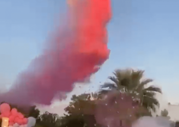 Gender Reveal Party in Sinaloa, Mexico Takes Tragic Turn as Plane Crash Kills Pilot