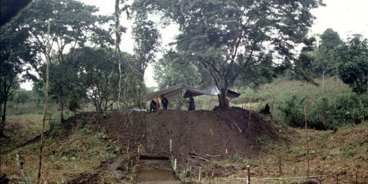 Archaeologists Uncover Ancient Urban Civilization in the Amazon