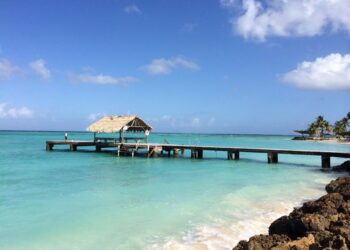 British Tourist in Critical Condition After Shark Attack in Tobago