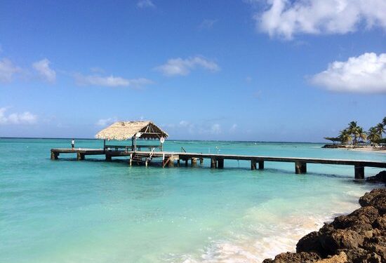 British Tourist in Critical Condition After Shark Attack in Tobago